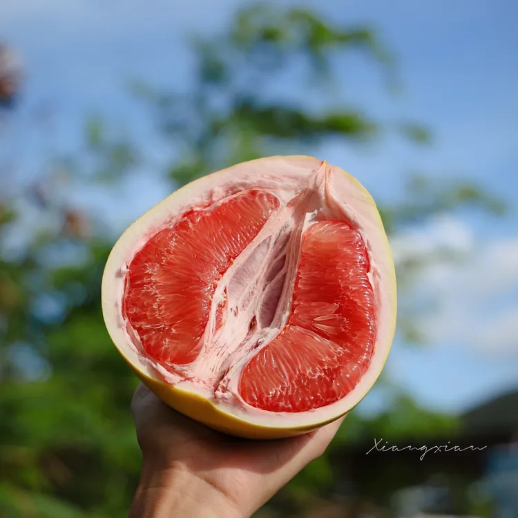 平和正宗琯溪三红蜜柚新鲜采摘多汁香甜孕妇水果