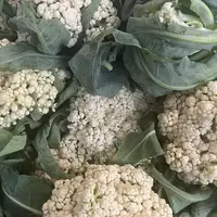 本地菜花3斤京东快递