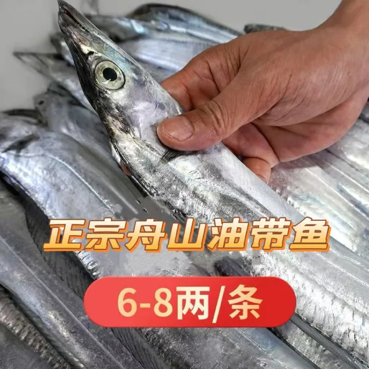 【净10斤 无破肚】舟山小眼油带鱼正宗（特大号）雷达网野生带鱼顺丰