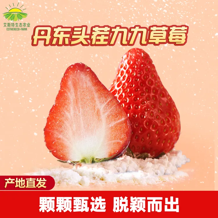 【润景艾斯特】正宗头茬丹东红颜99牛奶草莓1.8-2.8斤产地直发空运