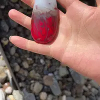未镶嵌和田玉（糖玉）珠宝奇石