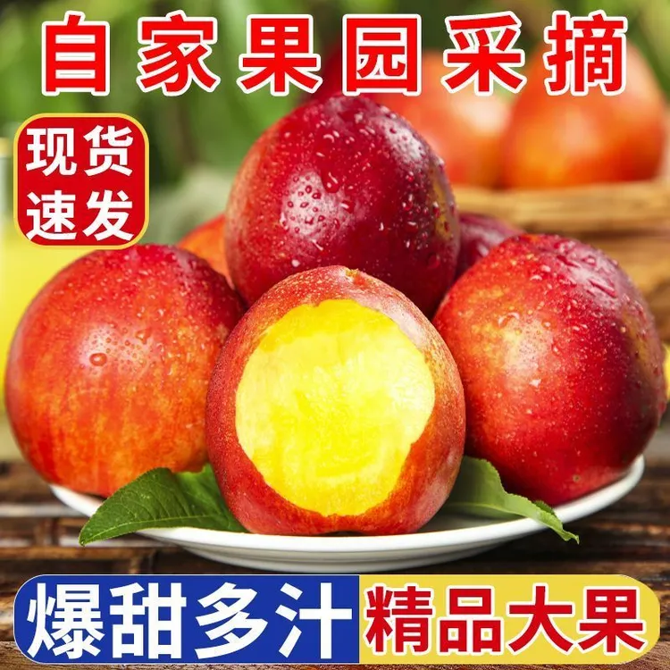 蒙阴头茬麻脸黄心油桃现摘新鲜脆甜多汁当季水果产地直发麻点蜜桃