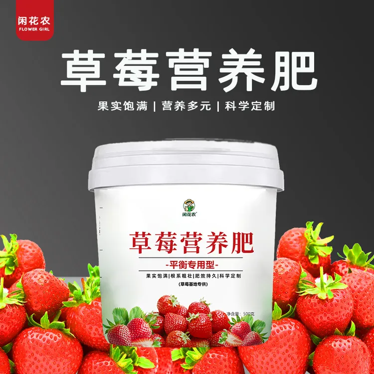 草莓营养肥 草莓开花多坐果多颗粒缓释营养肥料复合肥料