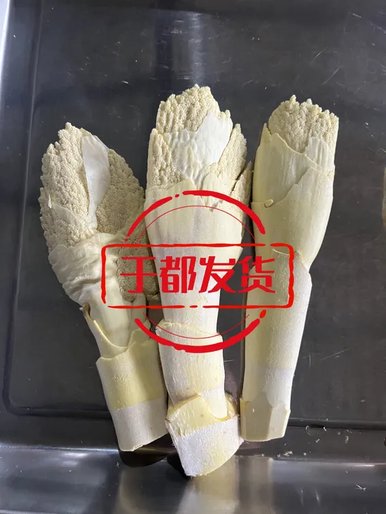 于都棕包江西赣南特产棕贝新鲜棕苞蔬菜棕包米棕包花带壳发货