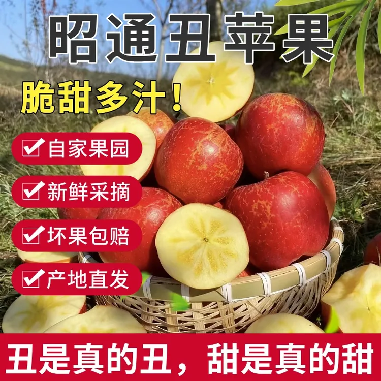 【现摘现发】3斤云南昭通丑苹果冰糖心脆甜多汁新鲜当季水果精品果