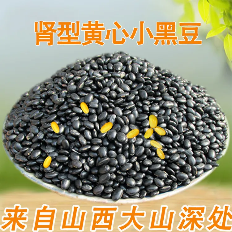 山西农家自种黄心肾形小黑豆可打豆浆发豆芽营养杂粮当季新黑豆籽