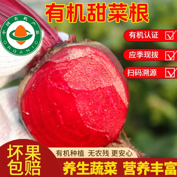 有机认证现拔新鲜甜菜根装现挖红菜头紫菜头火风果打汁农产品