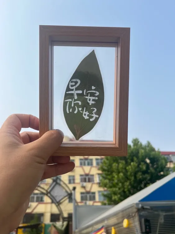 叶雕照片，接受照片定制，先确认效果，后发货