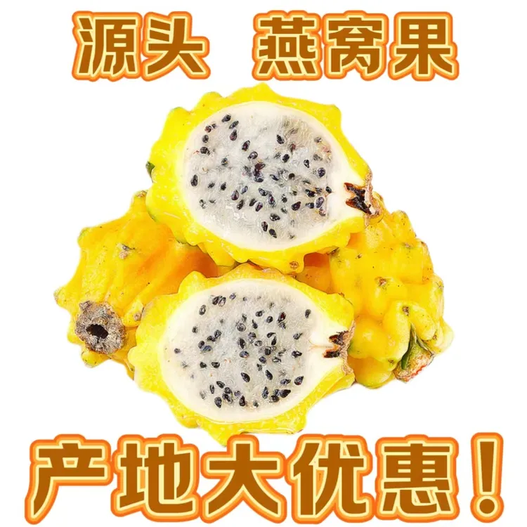 【3斤装优惠】麒麟燕窝果礼盒新鲜爽口热带水果香甜黄色火龙果香甜
