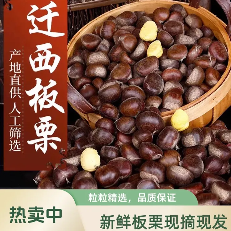 【大果精品3113】迁西板栗 油栗好拨皮燕山京东鲜栗子甜糯3/5/10斤