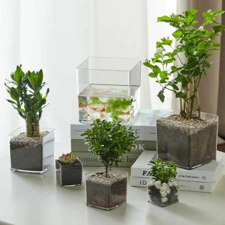 创意水培器皿花瓶摆件透明塑料缸花盆插花水养鲜花绿萝正方形花器