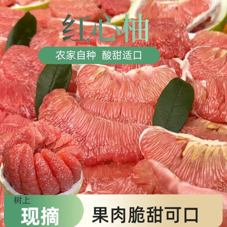【红心柚】农家新鲜现摘红心柚香甜化渣口口爆汁