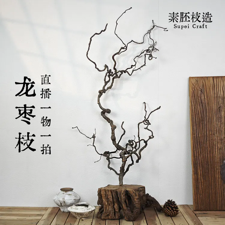 天然龙枣枝 中古侘寂风高级感干枝