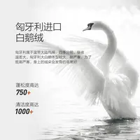 水星家纺匈牙利进口鹅绒春秋被80S纯棉抗菌保暖被子床上用品严选