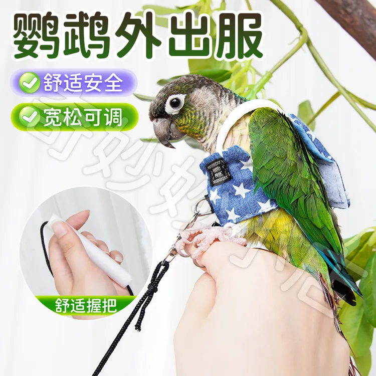 【宠大条】宠物鹦鹉鸟放飞背带背心外出牵引服防止飞丢鸟用放飞绳