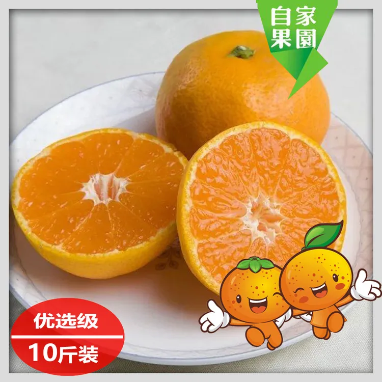浙江临海黄岩蜜桔宫川无核无籽桔子新鲜应季现摘适合孕妇橘子水果