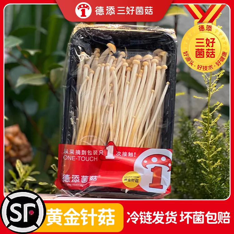 德添菌菇新鲜采摘老品种黄金针菇 上海发货顺丰包邮2斤/4斤涮火锅
