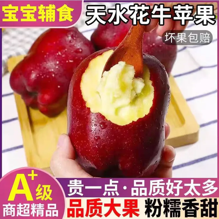甘肃天水花牛苹果新鲜脆甜粉面可做宝宝辅食水果