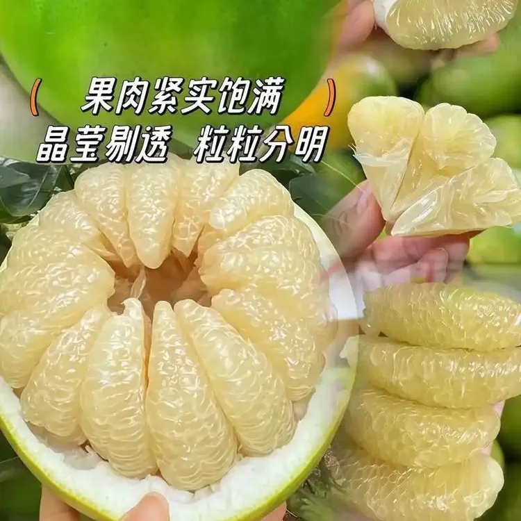 （20斤装）湖南怀化安江冰糖柚小苦柚麻麻柚子当季新鲜应季水果