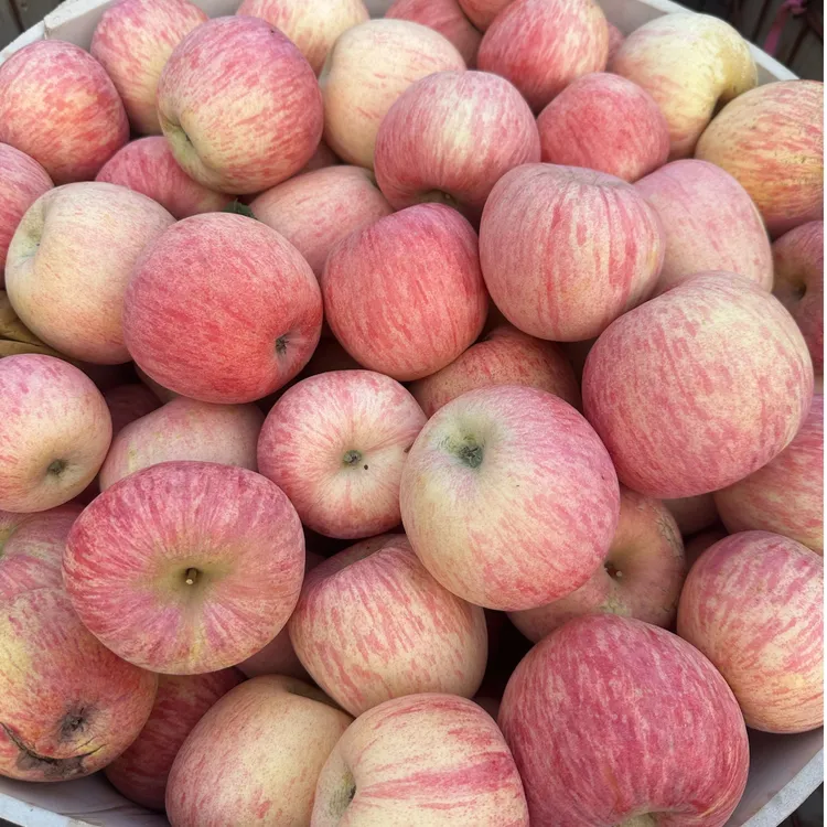 【2025条纹】山东烟台栖霞红富士新鲜采摘产地直发脆甜爆汁漂亮苹果