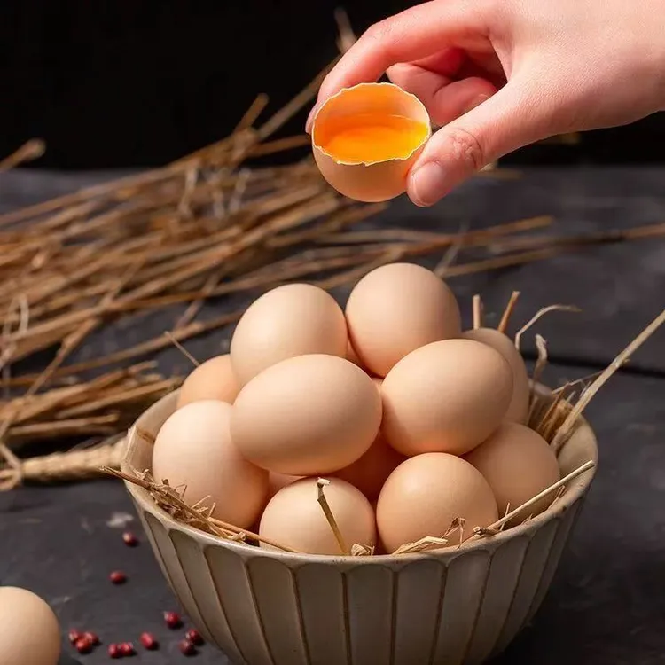 农家散养正宗新鲜健康五谷喂养土鸡蛋