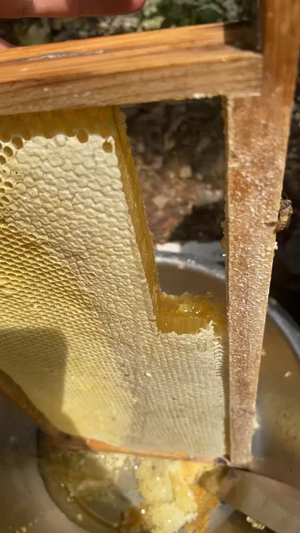 百花蜜真蜂蜜1000克原蜜