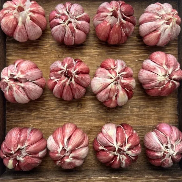 食香九镇紫皮香大蒜头去外衣干蒜提味增香不是种子