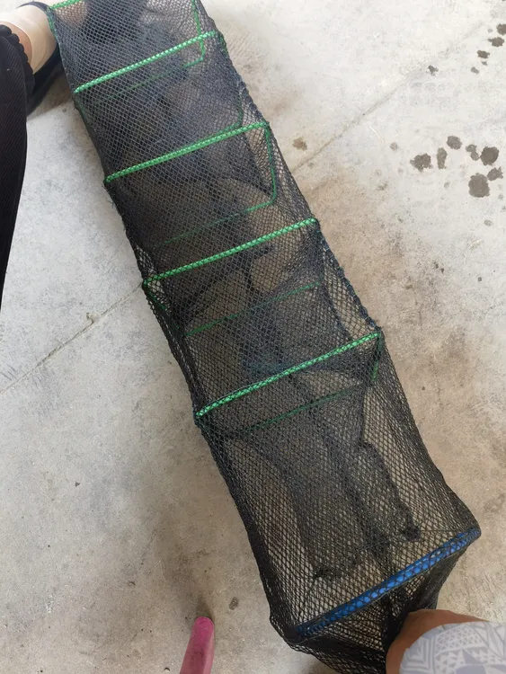 精品一子口四门黄鳝泥鳅龙虾网