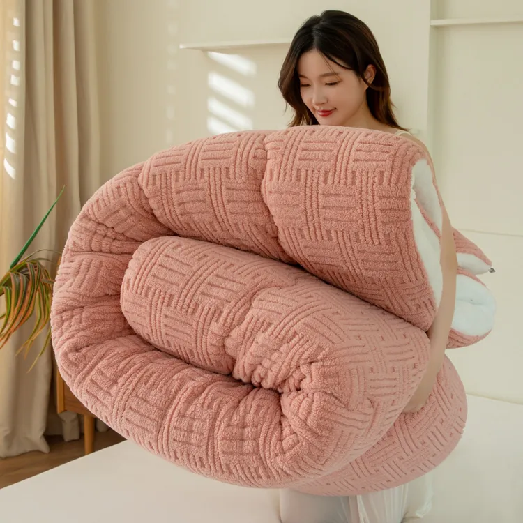 俞兆林冬被加厚牛奶绒羊羔绒被子被芯秋冬季棉被双人保暖单宿舍