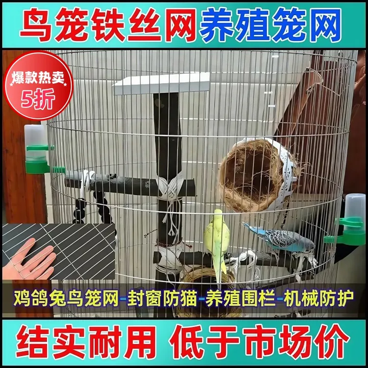 镀锌铁丝网围栏网防锈长孔电焊网现货防鼠鸟笼鸽舍鸡兔笼优质网格