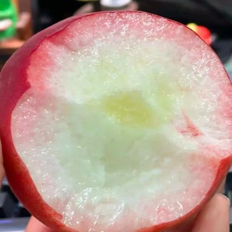 新鲜应季山东蒙阴金秋蜜桃脆甜多汁果园直发！水蜜桃