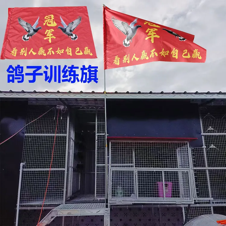 训放鸽子神器赛鸽强制家飞用红旗中国信鸽协会训放旗帜驱赶鸽子旗