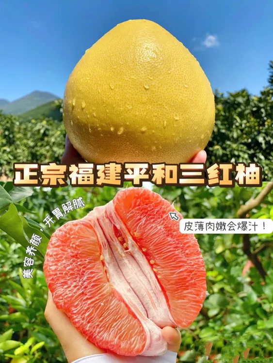 平和琯溪蜜柚三红柚蜜柚新鲜水果皮薄肉厚甜蜜多汁正宗三红老果树