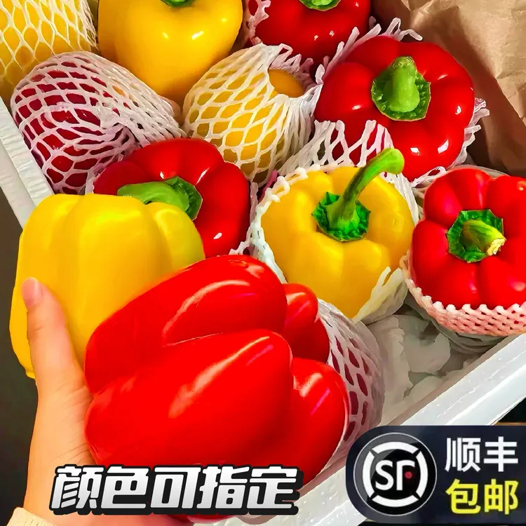 【顺丰包邮】【中小果彩椒】山东寿光新鲜现摘水果彩椒生吃不辣红黄椒