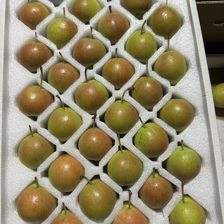 东北正宗南果梨红南果海城原产地直发