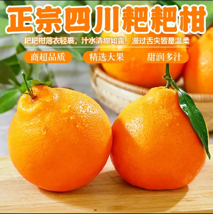 【正宗精品】四川春见耙耙柑新鲜水果当季头茬鲜果现采现栽多汁皮薄