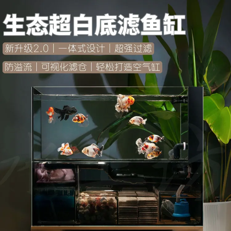 轻奢超白底滤一体鱼缸懒人免换水客厅中大型生态溪流强过滤空气缸