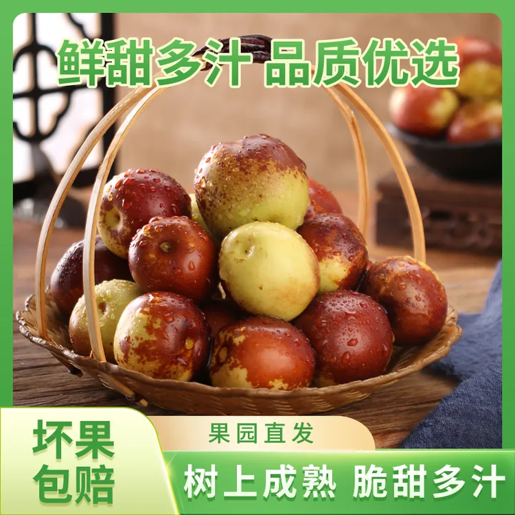 黄骅冬枣 现摘现发 果园直采顺丰包邮