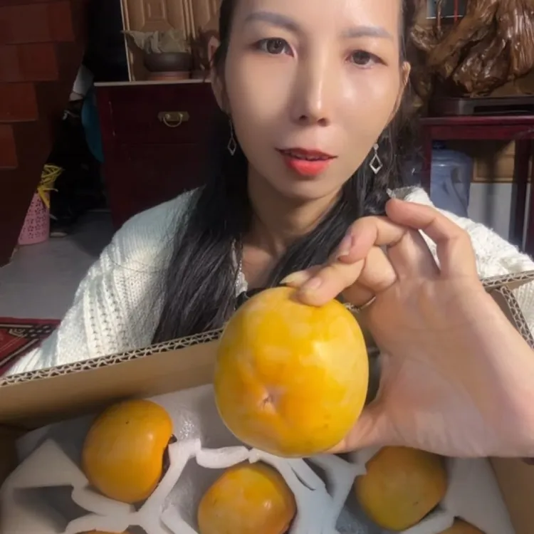 新鲜采摘麻阳高山柿子