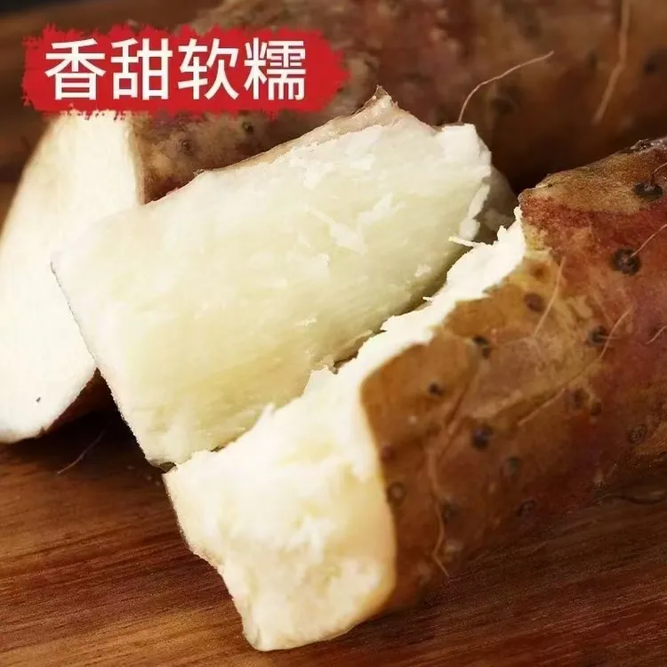 河南焦作温县垆土红薯铁棍山药新鲜现挖正宗粉糯特产食材女人大衣