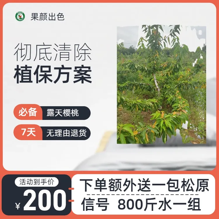 小王  摘完樱桃植保方案 800斤水 下单送一包松原