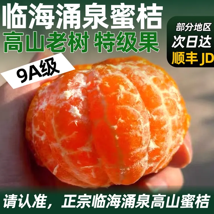 浙江台州临海涌泉蜜桔正宗无核高山种植新鲜当季水果橘子早熟宫川