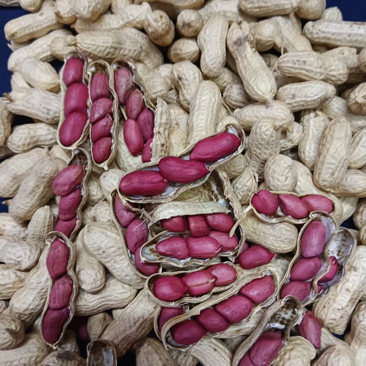 红皮带壳生花生农家晒干货四川巴中发货