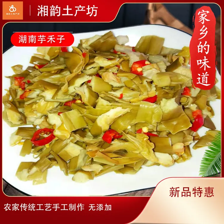 湖南农家芋禾子坛香芋正宗酸芋盒芋头窝子坛子菜芋荷苗广西芋苗