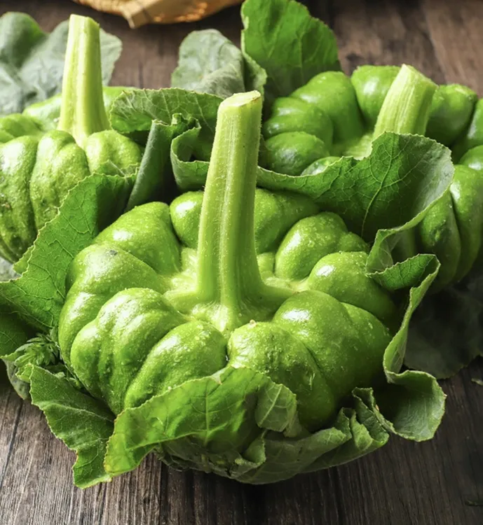 新鲜云南姜柄瓜小绿嫩瓜露天种植清甜可口蔬菜