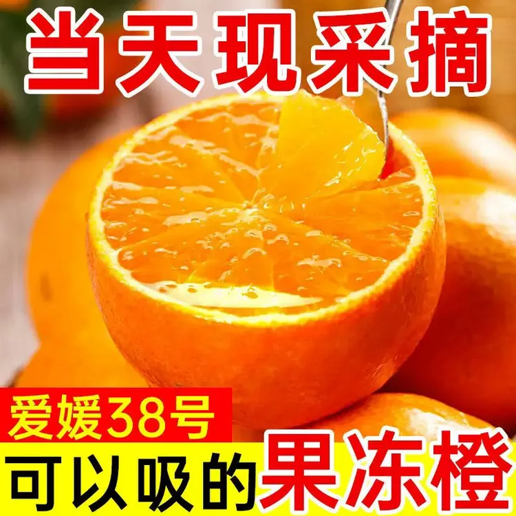【新鲜果冻橙】头茬四川爱媛38号果冻橙清甜爆汁新鲜采摘烂果包赔