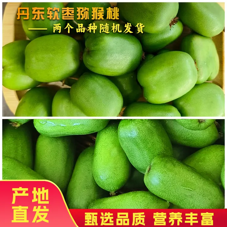 产地直发丹东当季新鲜软枣猕猴桃东北奇异果莓