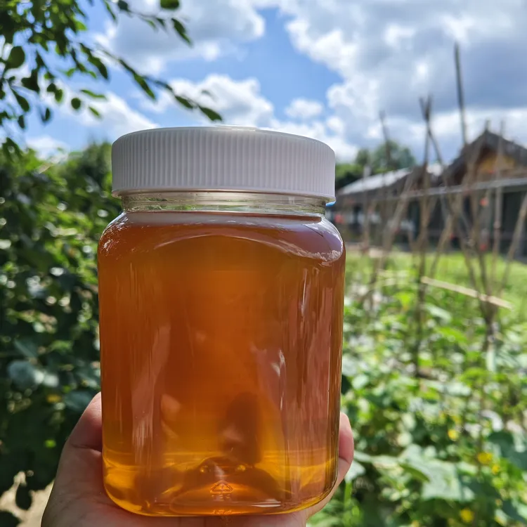 黑龙江新蜂蜜 黄柏蜜 1瓶1000g 2500g