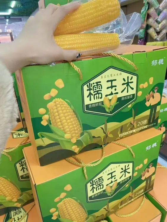 东北真空糯玉米 20穗一件礼盒装 25年新玉米东北特产