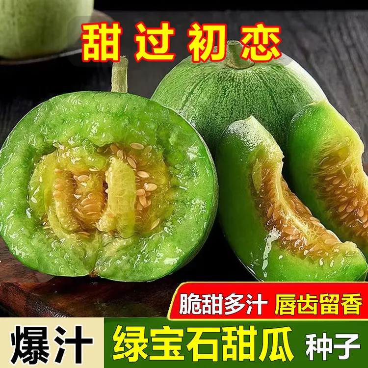 绿宝石甜瓜种子超甜薄皮香瓜冰糖春季四季脆瓜高青皮产香瓜籽